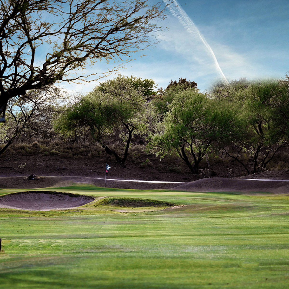 view of golf course green with sand trap