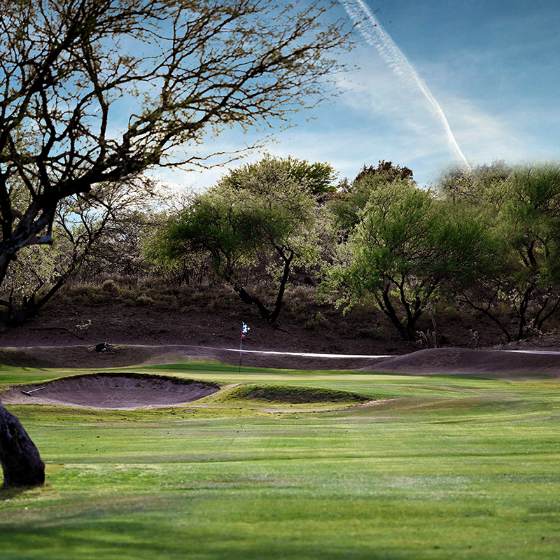 golf course green with trees and blue sky