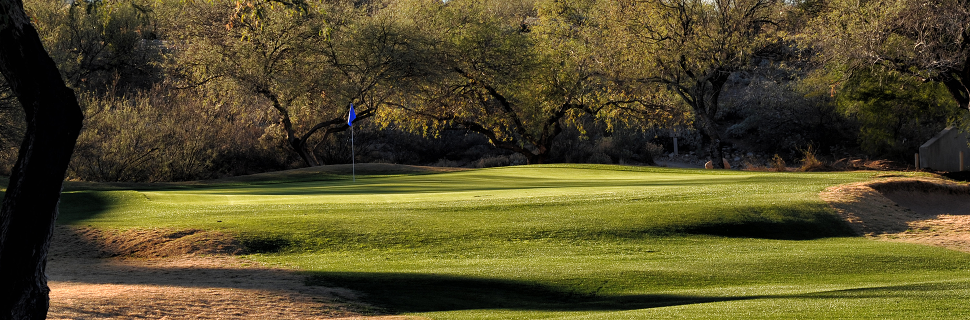 view of golf course green